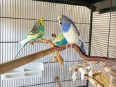 Bild 12 - 