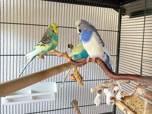 Bild 12 - 