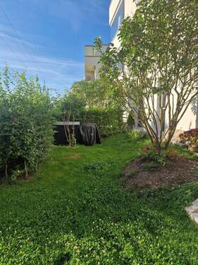 Garten - 
