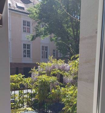 Vorgarten.jpg - 