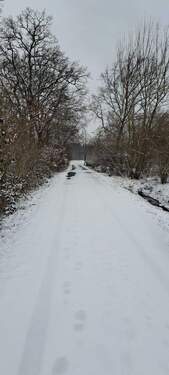 Straße vor dem Grundstück - Einfamilienhaus mit 145,00 m&sup2; in Sauensiek zur Miete