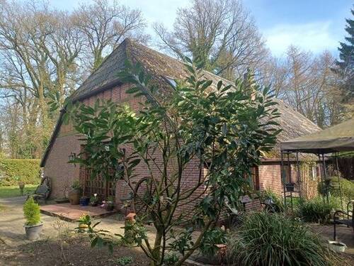 Ansicht - 9 Zimmer Bauernhaus, Landhaus in Rastede