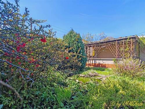 Ein Platz im Grünen - 