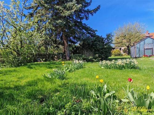 Viel Platz - Viel Grün - 