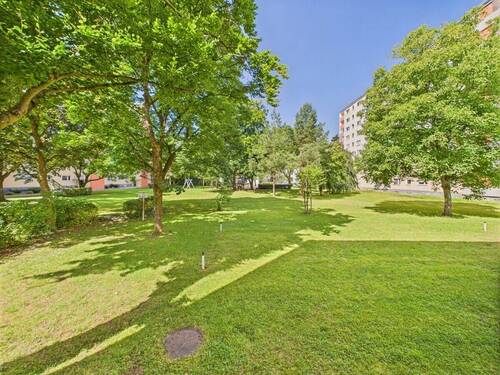 Aussicht ins Grüne - 