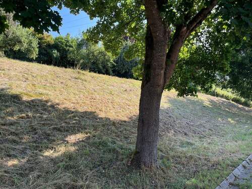 Fl.st. 241/3 - Grundstück zum Kaufen in Leinzell