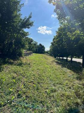 Blick von Westen - Grundstück in Leinzell zum Kaufen