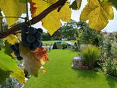 Bild 13 - 