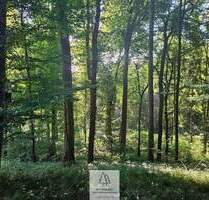 Grün, nachhaltig & regional. Wald als wertstabiles Investment! - Ursberg Mindelzell