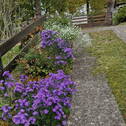 Bild 10 - 