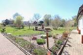 Blick in den Garten - 