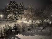 Winterimpression - 