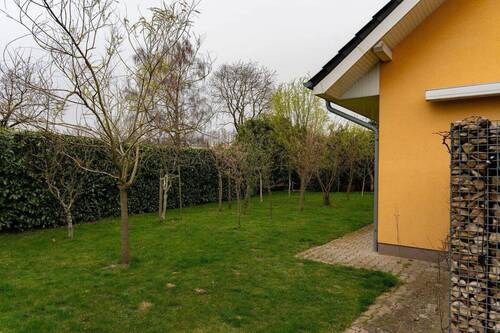 Garten hinter dem Haus - 