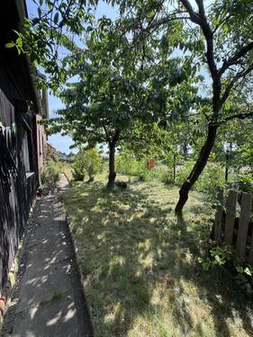 Gartenbereich - Einfamilienhaus mit 183,70 m&sup2; in Bad Bodenteich zum Kaufen