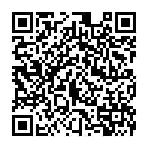 QR-Code - 