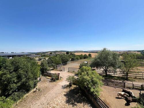 Weitblick - 