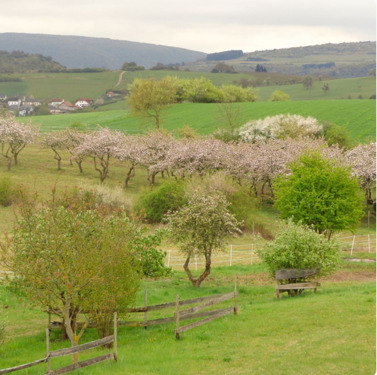 Weitblick - 