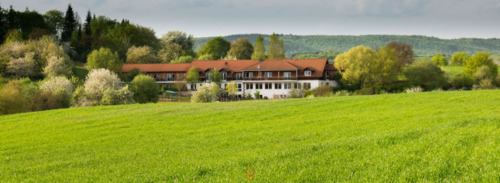 Hausansicht - 2 Zimmer Hotel, Pension, Gasthof zum Kaufen in Waldböckelheim
