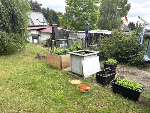 Blick in den vorderen Grundstücksbereich - 