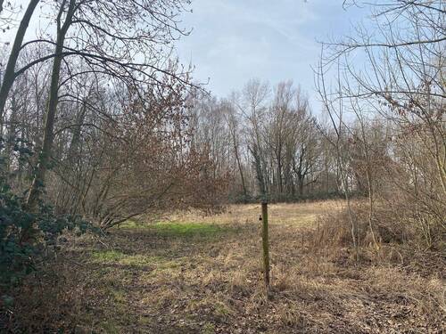 Grundstück - Grundstück in Halle (Saale)