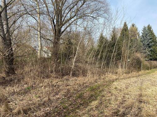 Grundstück - Grundstück in Halle (Saale) zum Kaufen