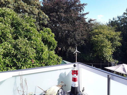 Bild 5 - 