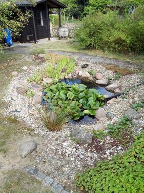 Gartenteich - 