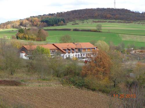Hausansicht - Mehrfamilienhaus, Wohnhaus mit 656,40 m² in Waldböckelheim zum Kaufen