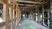 Flur - Bauernhaus, Landhaus mit 1,00 m&sup2; in Wiedensahl zum Kaufen
