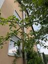 neuw. Edelstahl-Schlot - Mehrfamilienhaus, Wohnhaus mit 260,00 m&sup2; in Weismain zum Kaufen