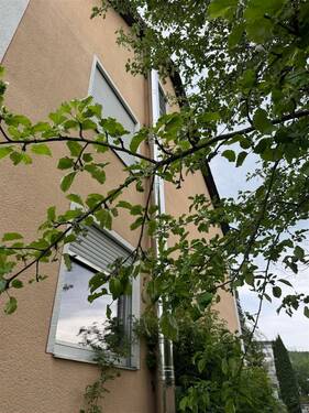 neuw. Edelstahl-Schlot - Mehrfamilienhaus, Wohnhaus mit 260,00 m&sup2; in Weismain zum Kaufen