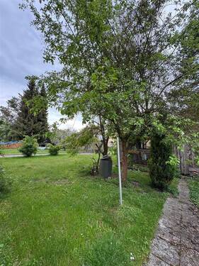 Garten nach hinten - 