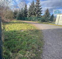 Großes Grundstück in Holzweissig 3700qm – nahe dem Bitterfelder BogenStadion - Bitterfeld-Wolfen Holzweißig