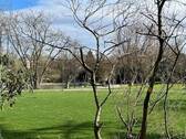 fantastischer Ausblick aus der Eigentumswohnung! - 