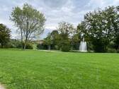 viel Grün! - 