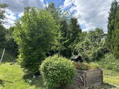 Bild 9 - 