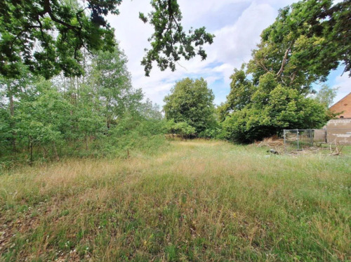 Blick ins Grundstück.png - Grundstück zum Kaufen in Siggelkow