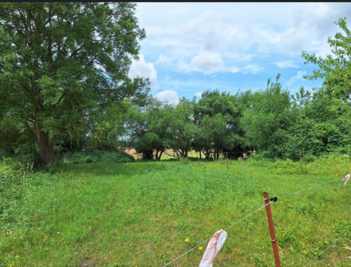 Ansicht Grünland.png - Grundstück in Siggelkow zum Kaufen