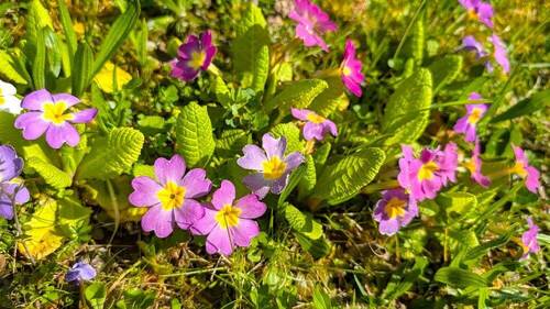 Impressionen - 3 Zimmer Etagenwohnung in Schwäbisch Gmünd