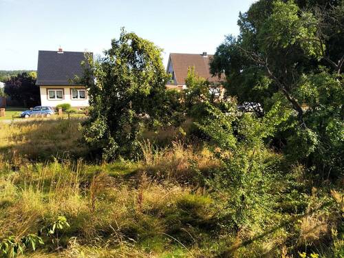 Blick von der Hauptstraße 2 - Grundstück zum Kaufen in Spornitz