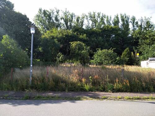 Blick von der Anwohnerstraße - Grundstück in Spornitz zum Kaufen