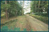 1917 zum See.jpg - 