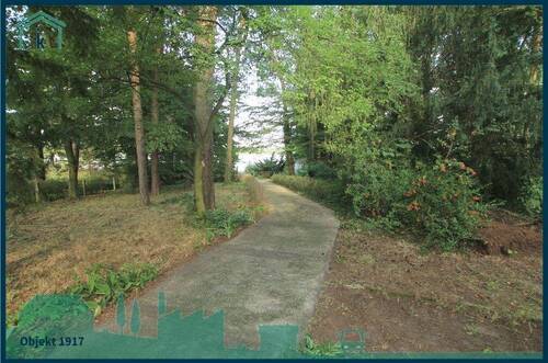 1917 Weg zum Wasser.jpg - 