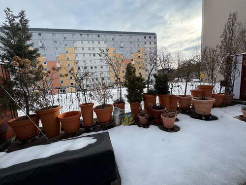 Blick auf die Terrasse - 