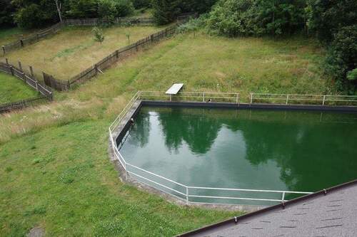 Benachbarter Feuerlöschteich - 