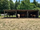 Weide Unterstand - 
