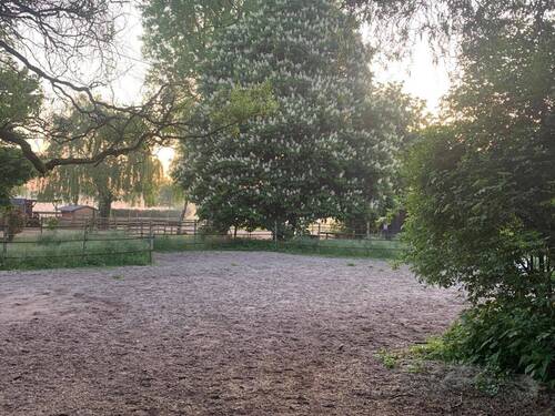 Hausstall Paddock - 