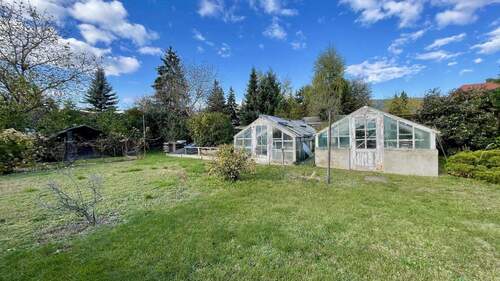 Garten mit Gewächshäusern - 