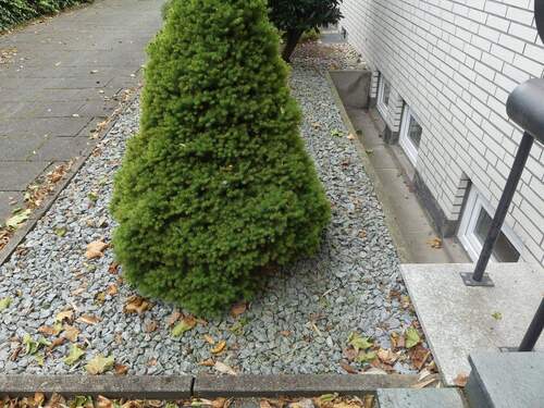 Bild 4 - Reihenmittelhaus mit 113,00 m&sup2; in Gelsenkirchen zum Kaufen