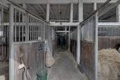 Pferdeboxen - 